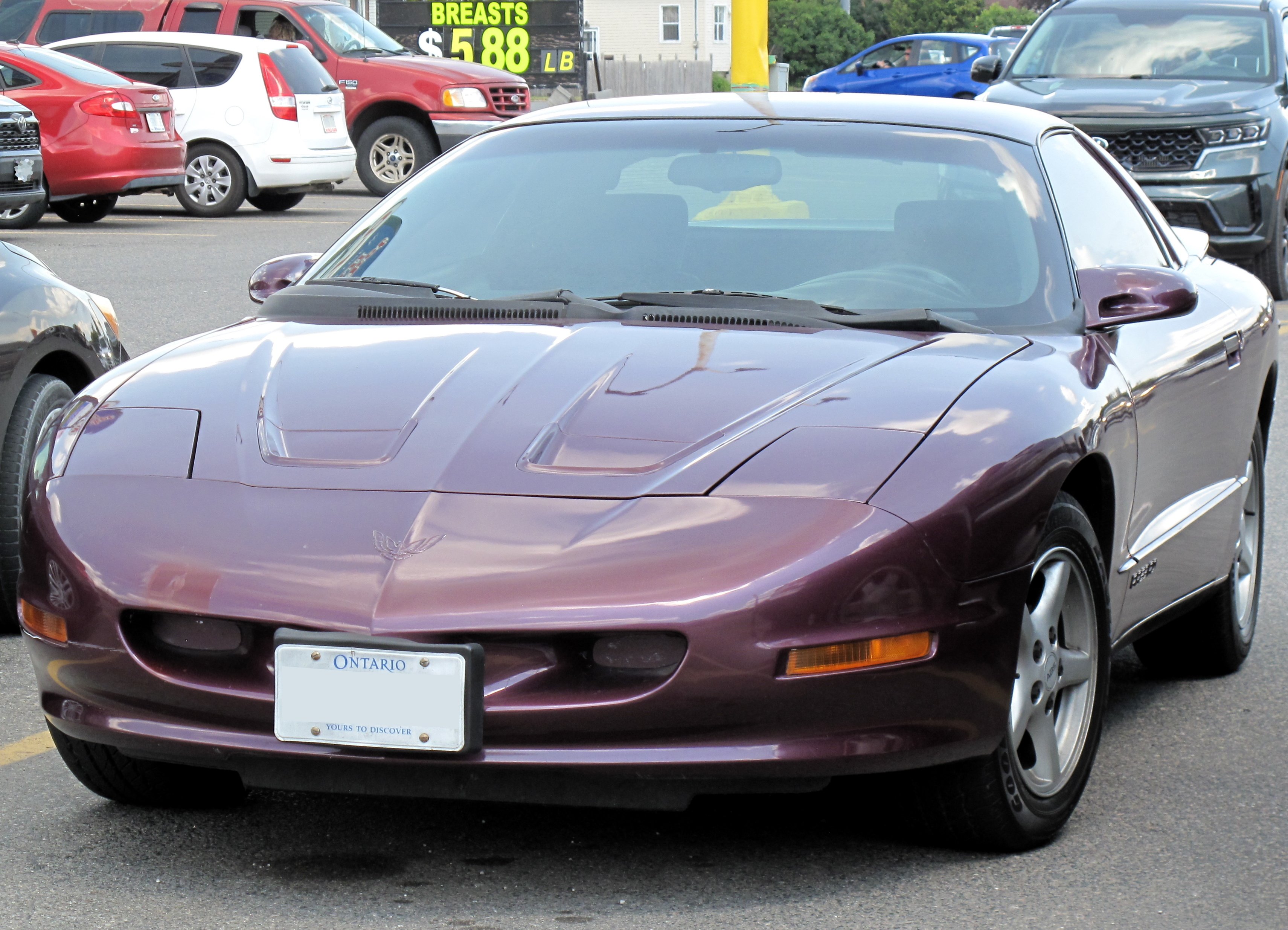 1996_Pontiac_Firebird_in_Medium_Dark_Purple