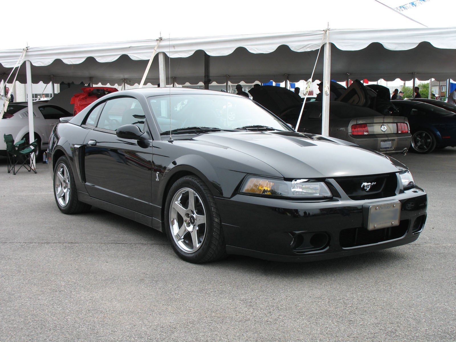 Black_Ford_Mustang_IV_SVT_Cobra