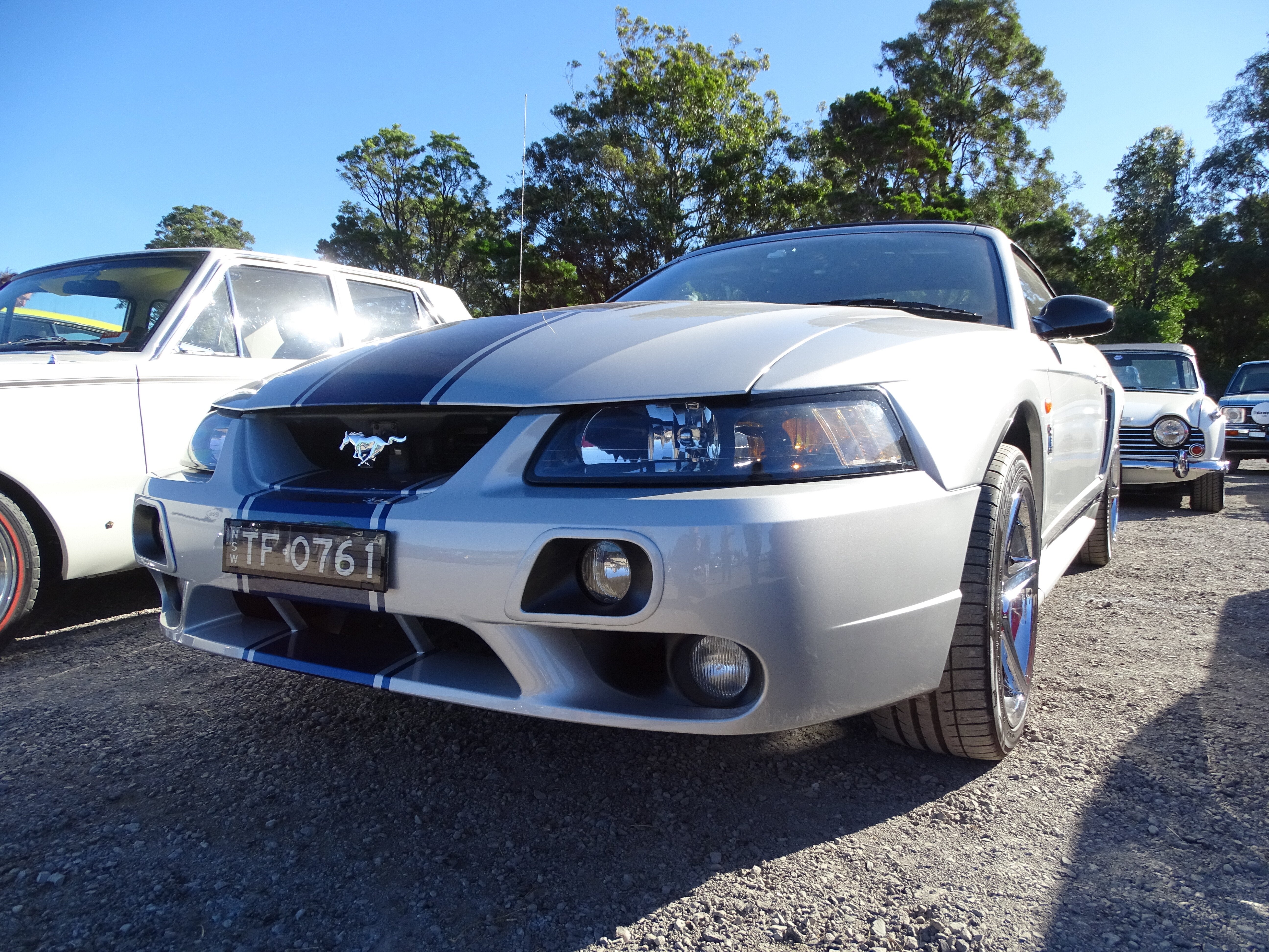 Ford_Mustang_SVT_Cobra_convertible_(34924844393)
