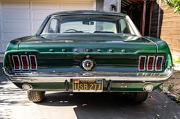 mustang-4