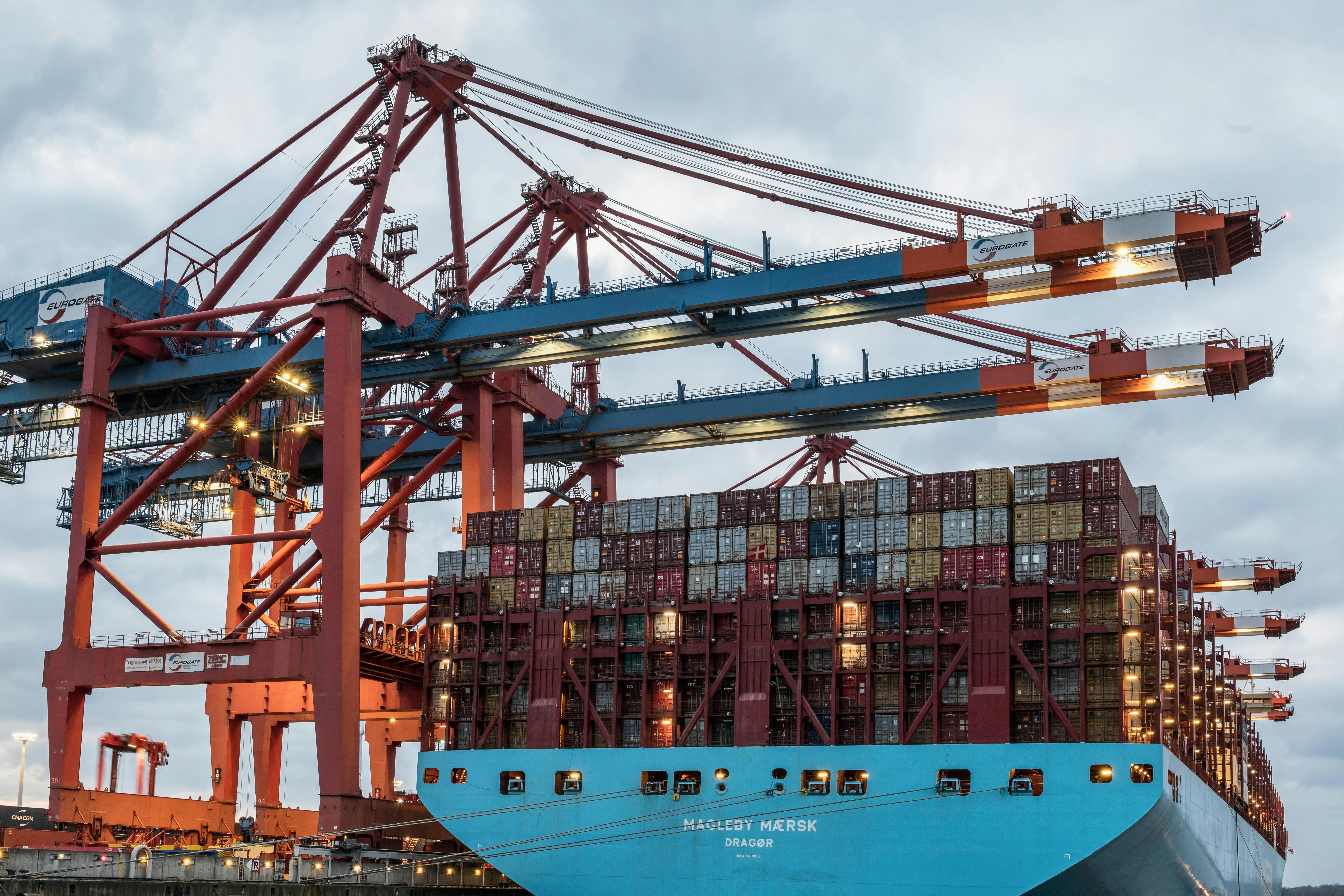 Container-conzolidation-new-zealand