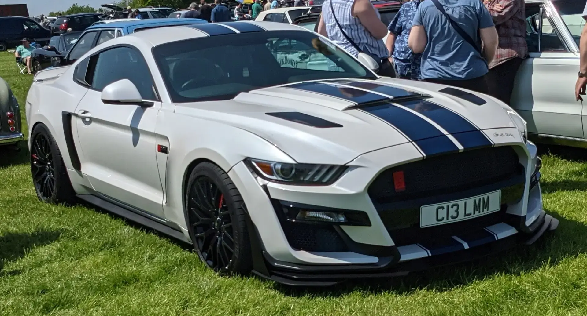 mustang