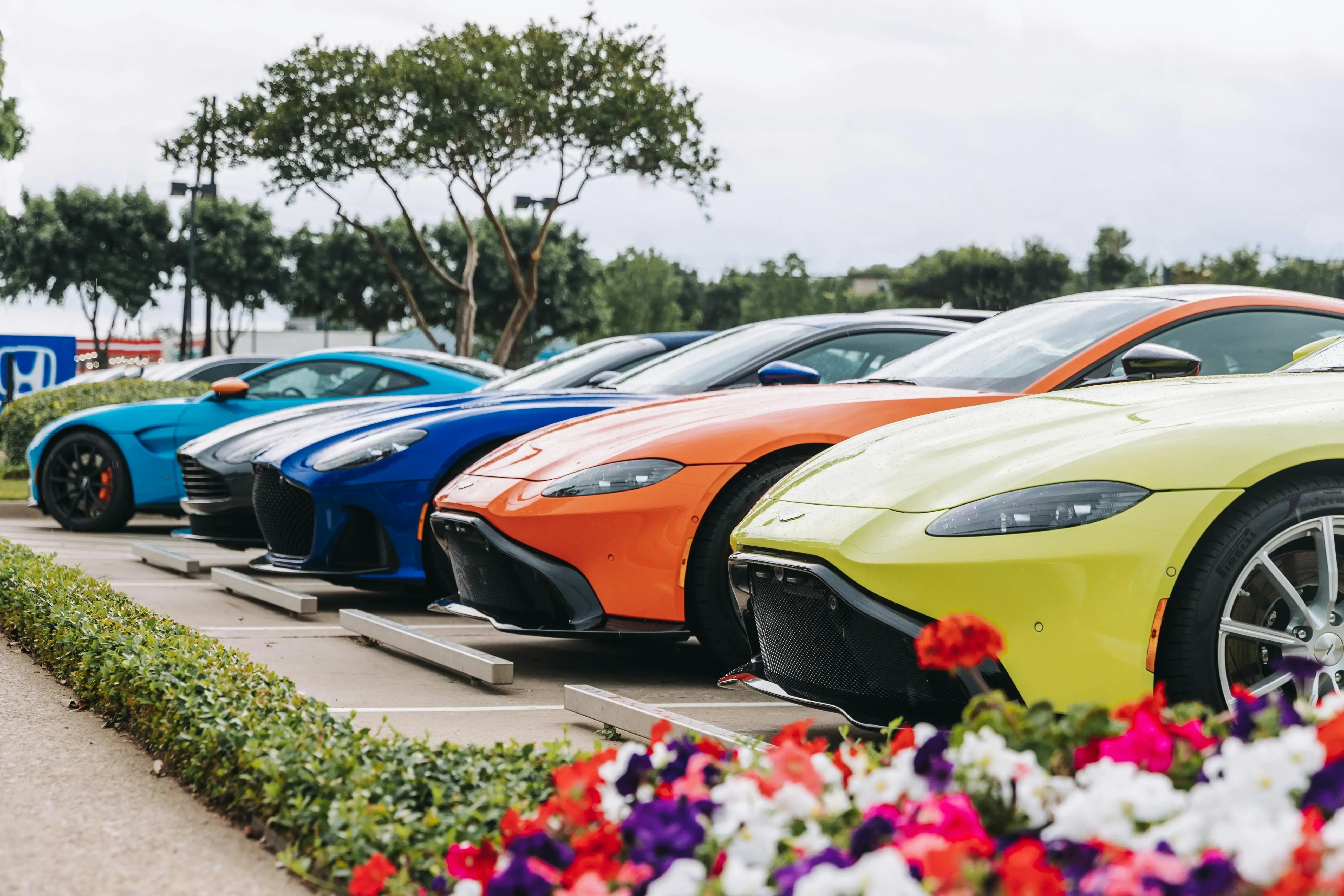 Modern sports cars parked on street