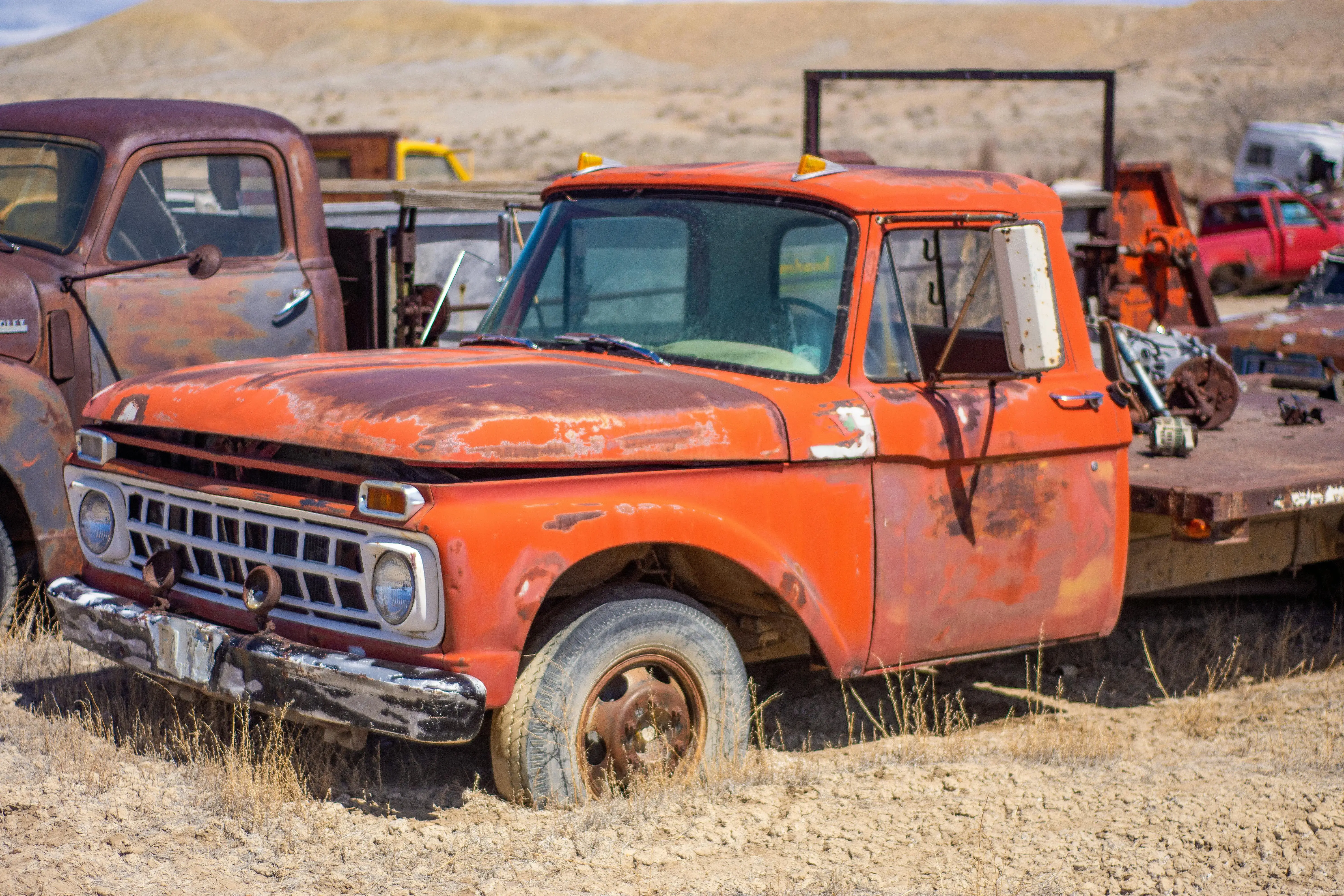 Vintage Trucks on the Dry Grassland