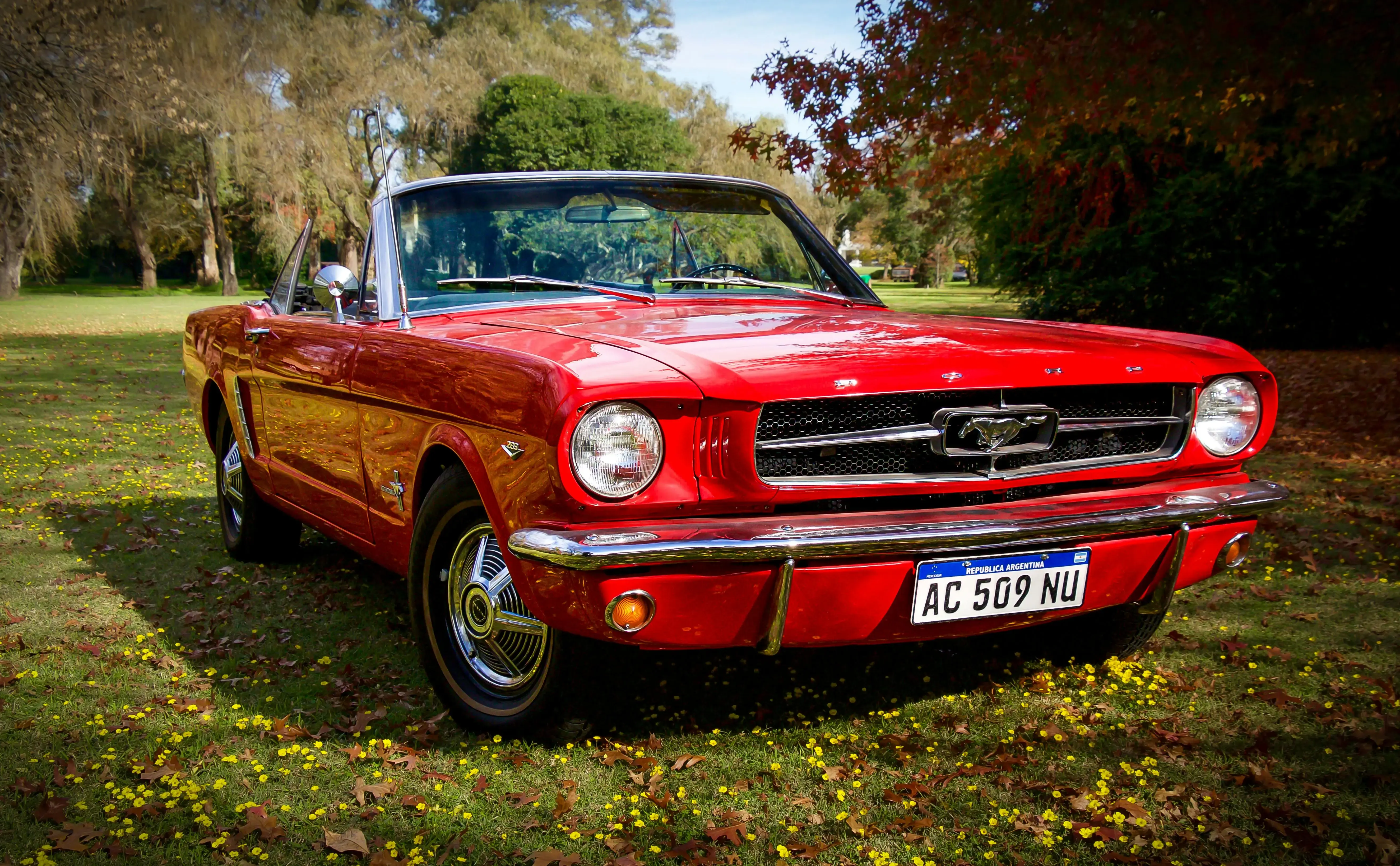 Photo of a Red Ford Mustang Car