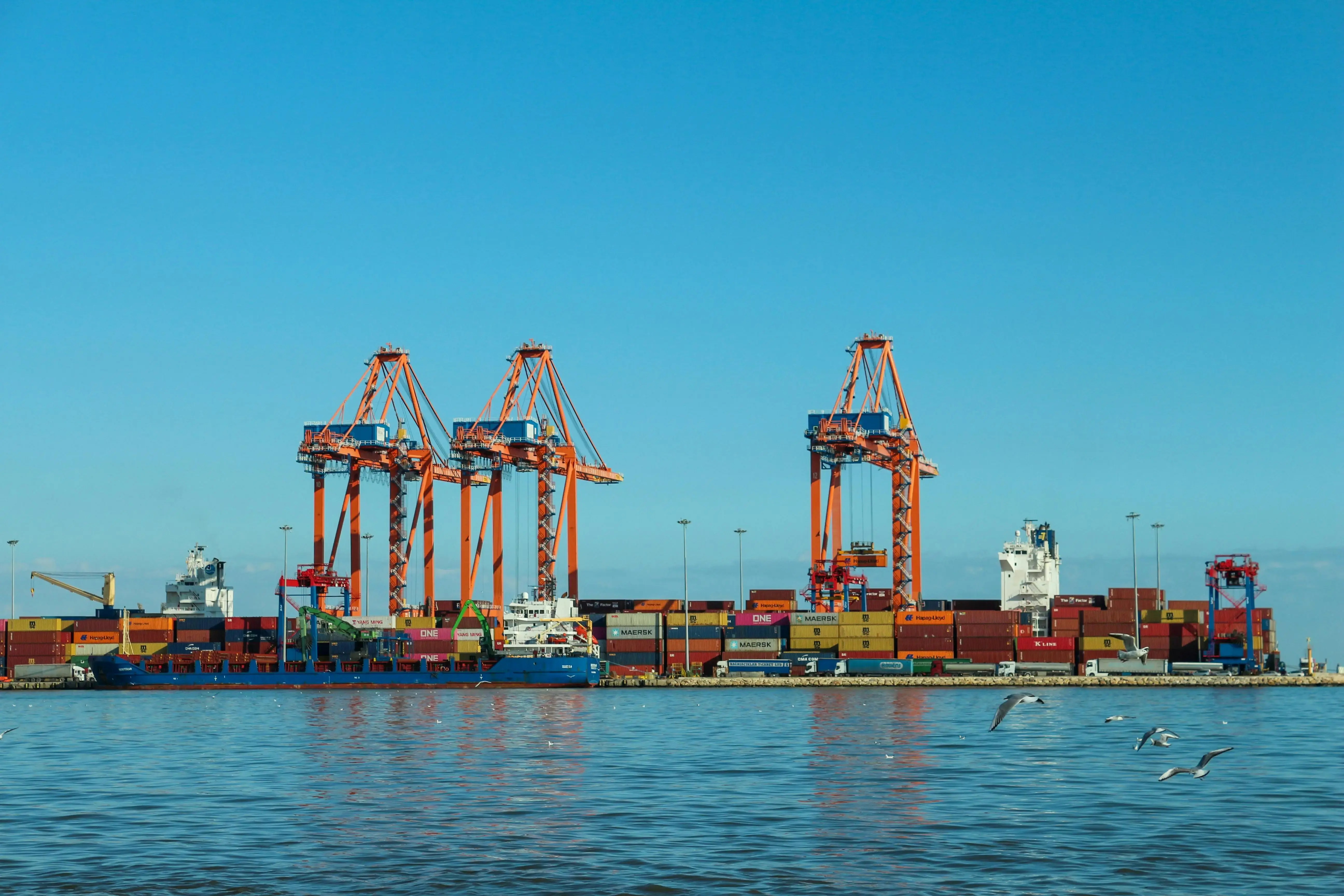 Vibrant Container Port with Cargo Cranes