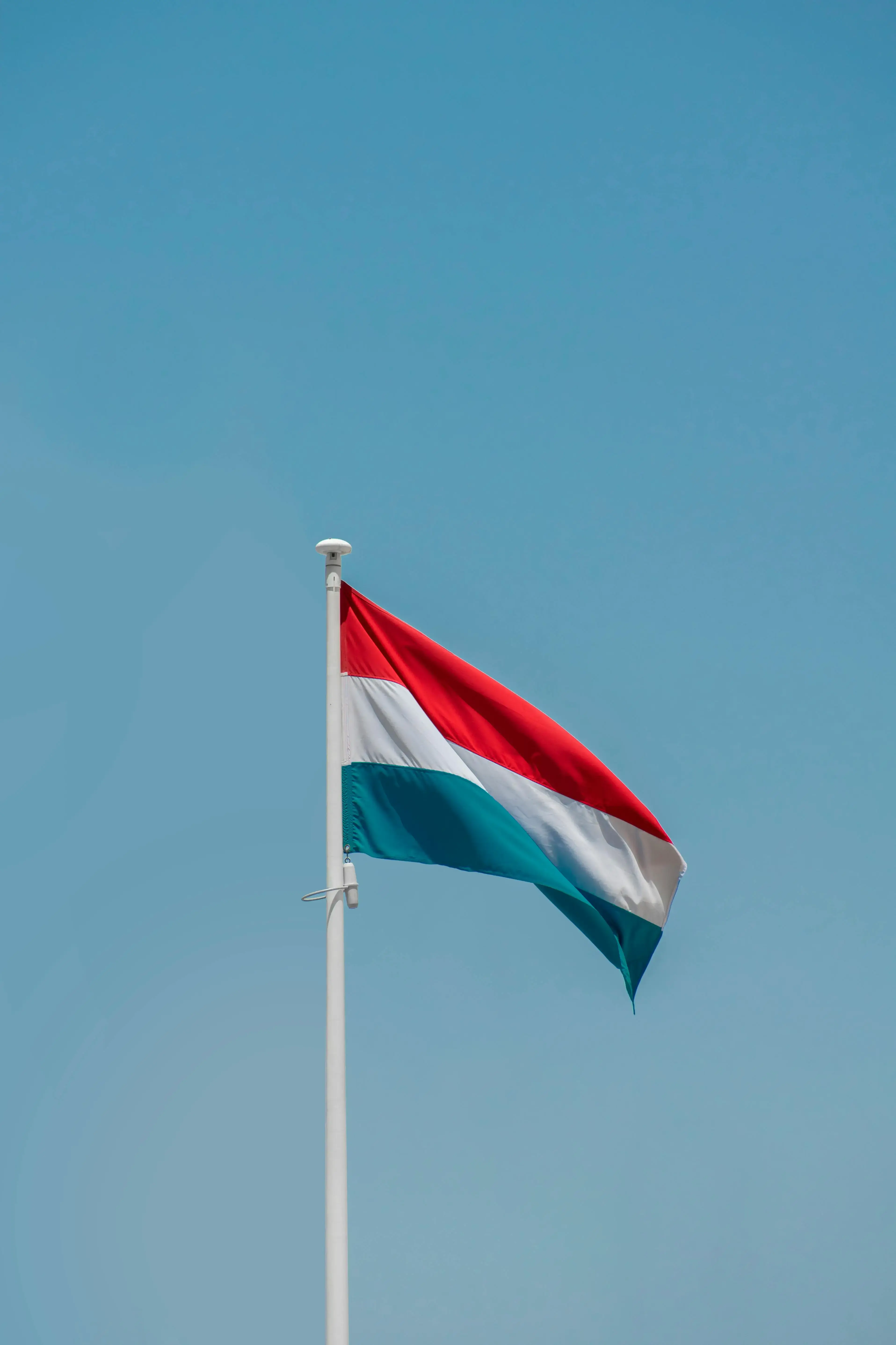 Flag of Netherlands on a Flagpole