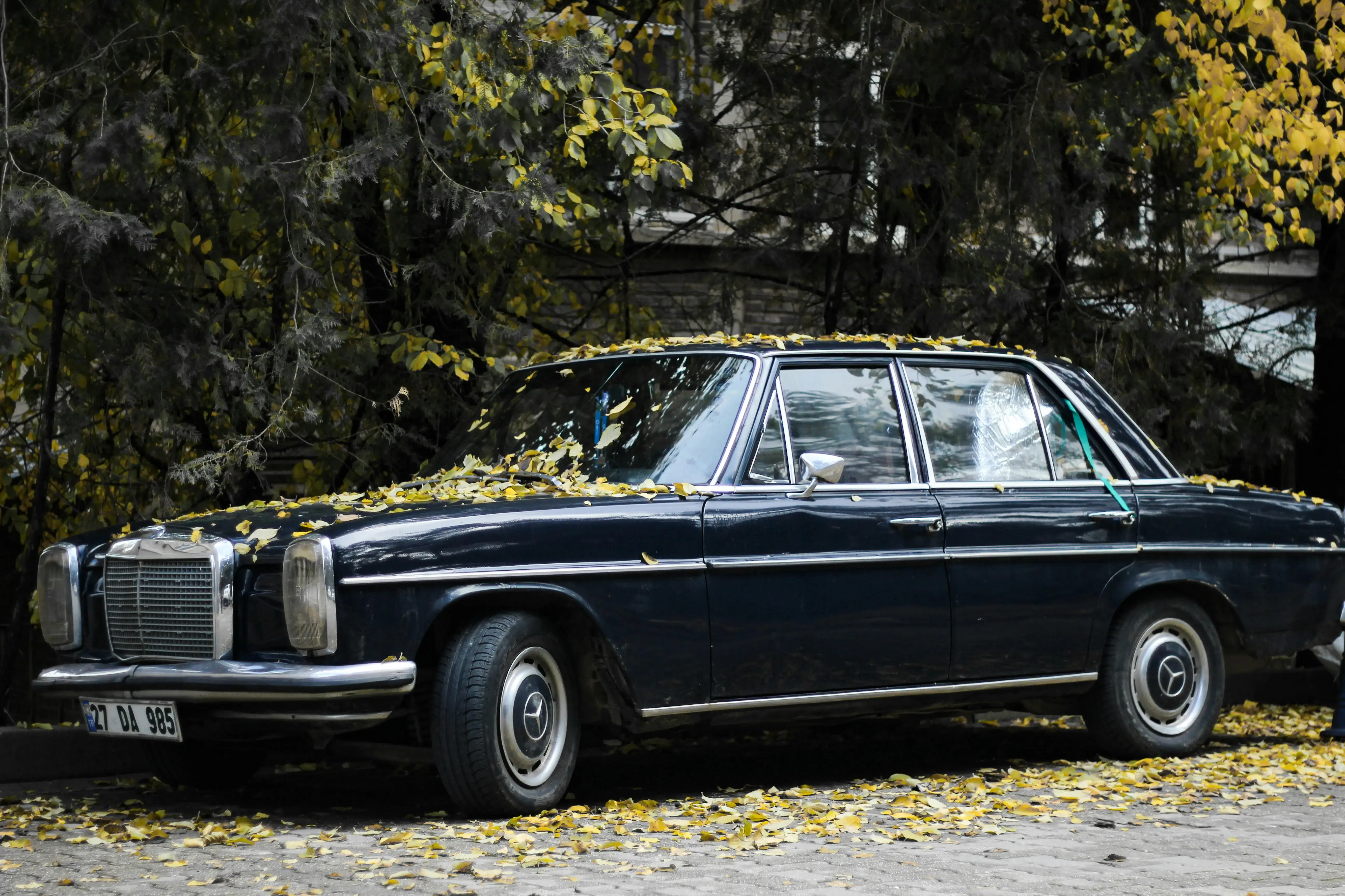 A Mercedes-Benz W114 Parked under Autumnal Trees