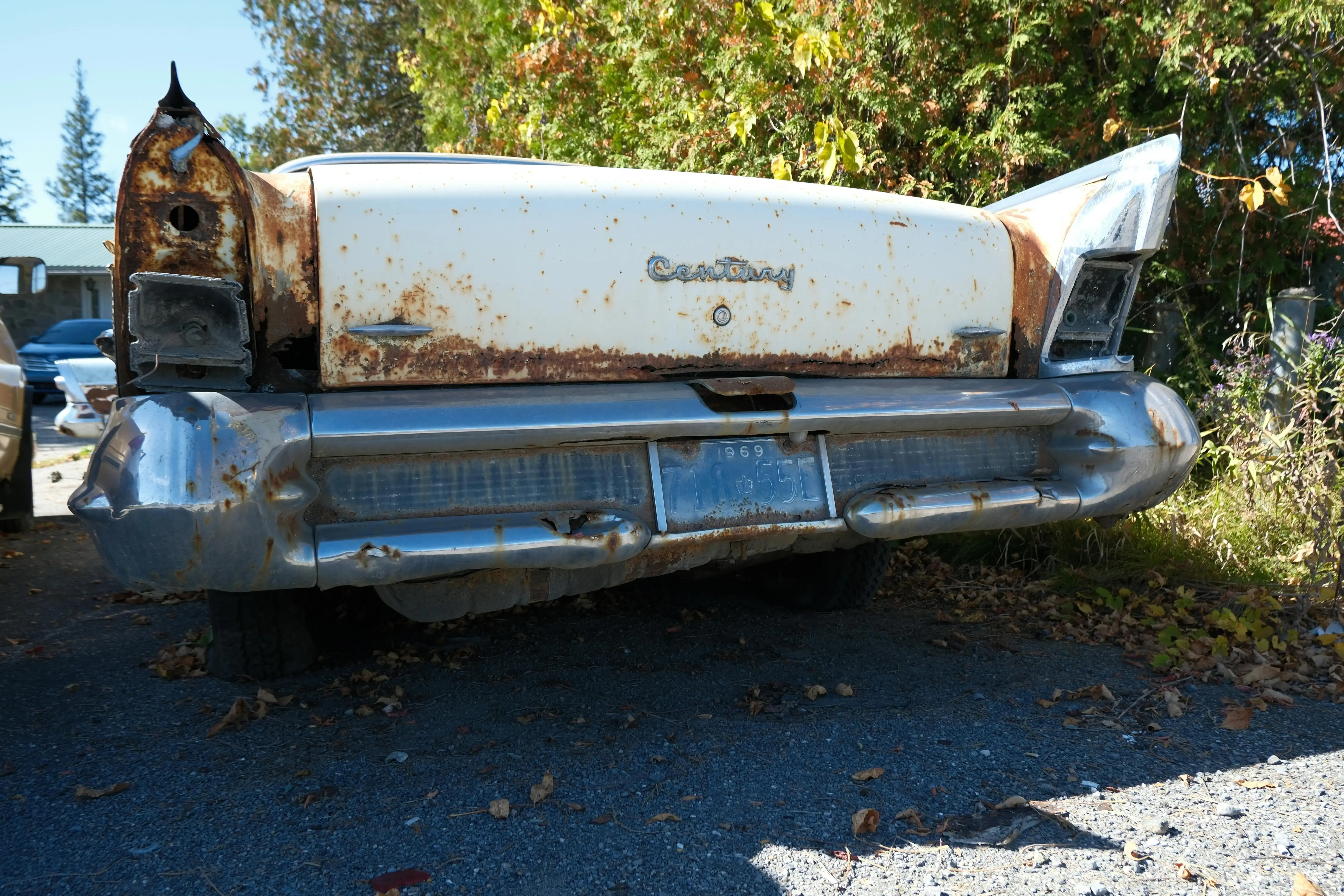 Rusty Vintage Car Rear View on Sunny Day