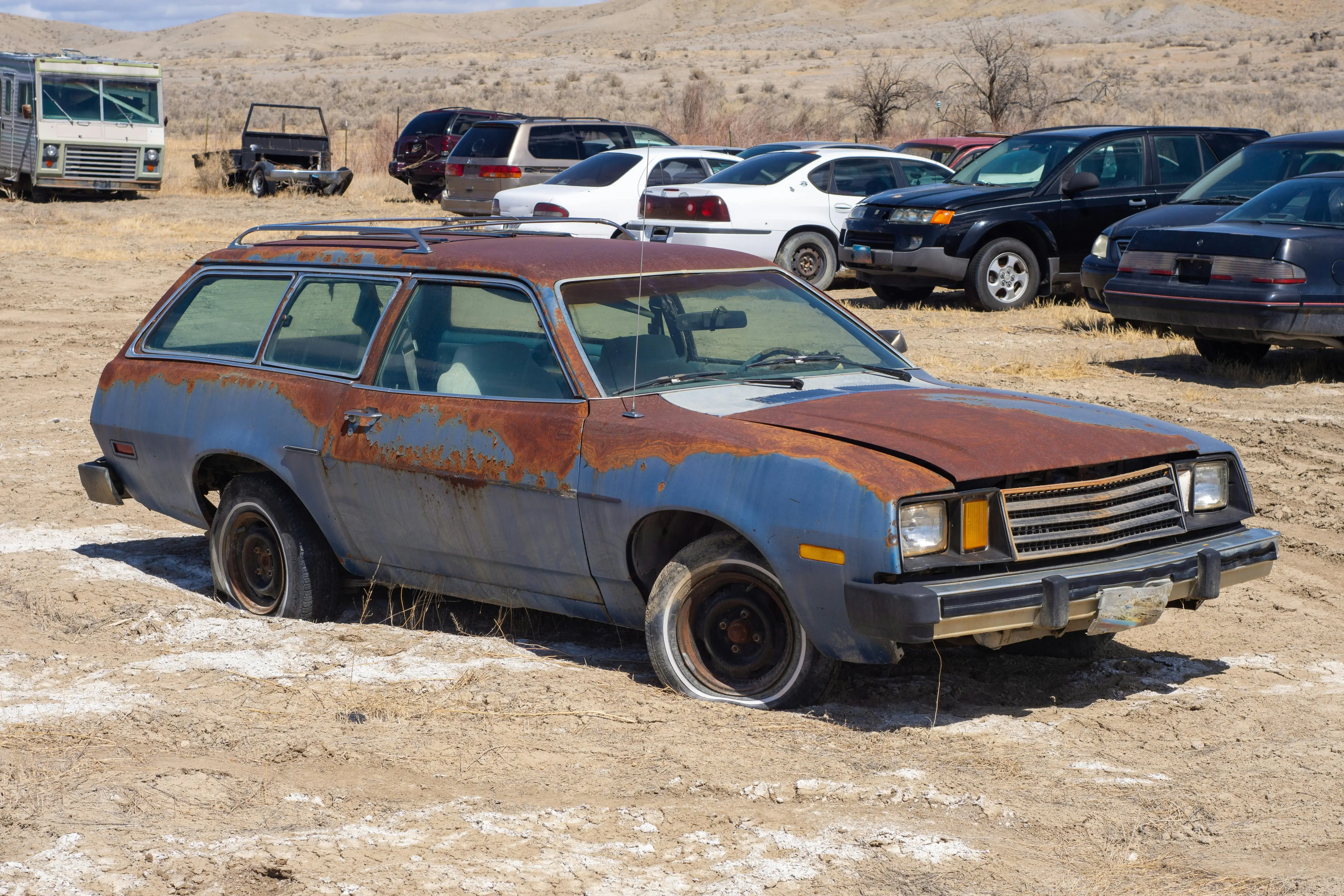 Vintage Cars on the Dry Grassland