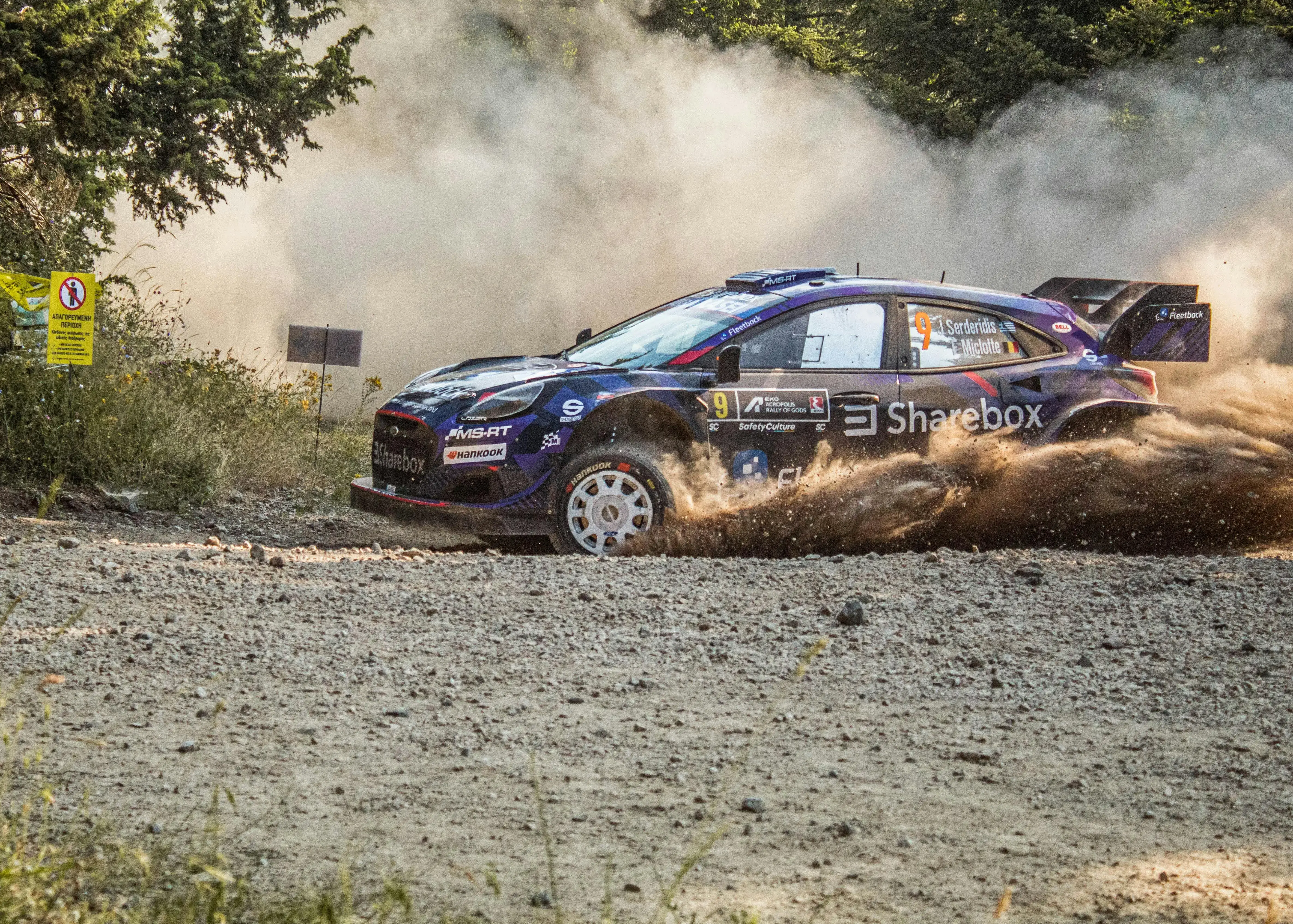 Dynamic Rally Car