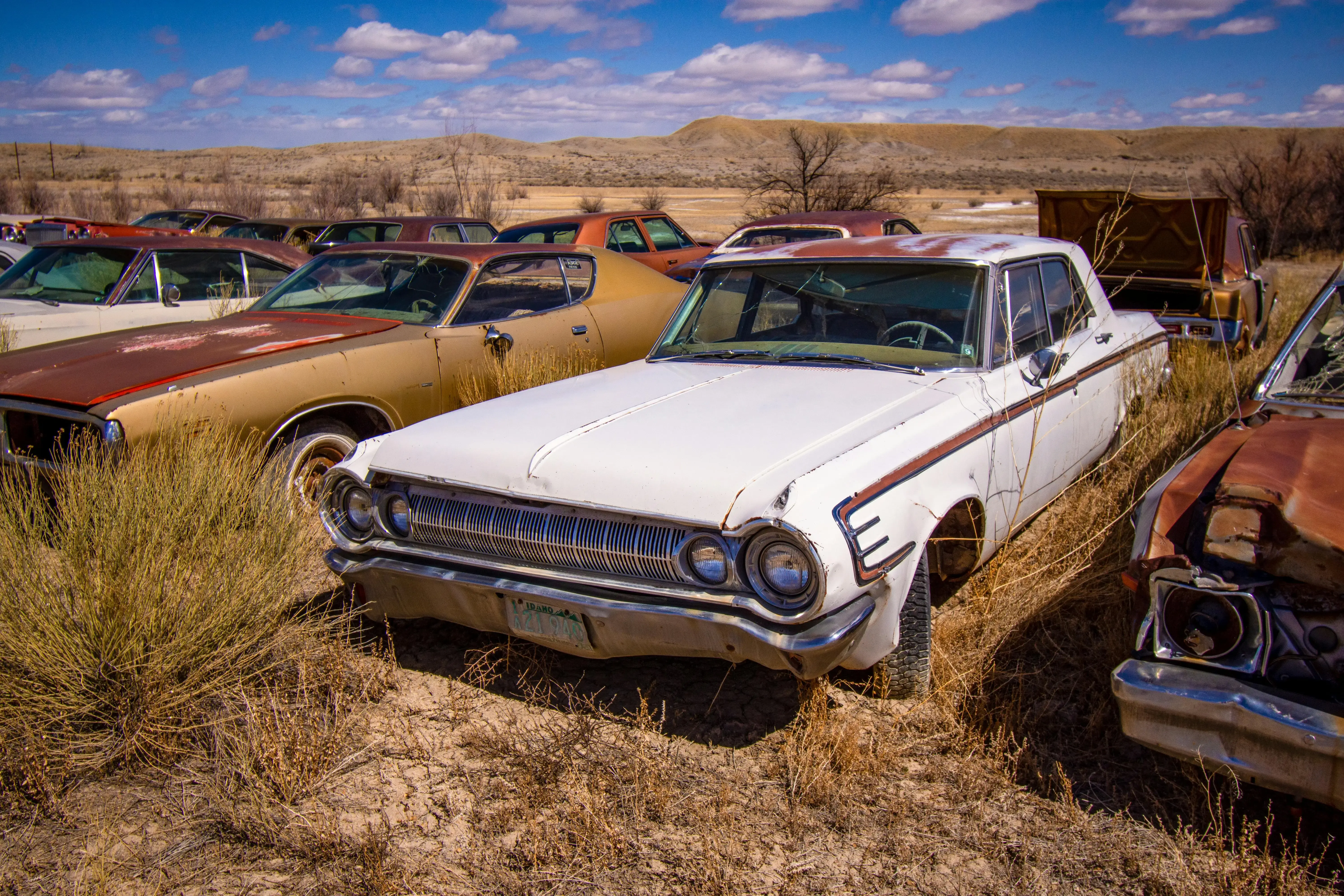 A White Vintage Car in a Junkyard