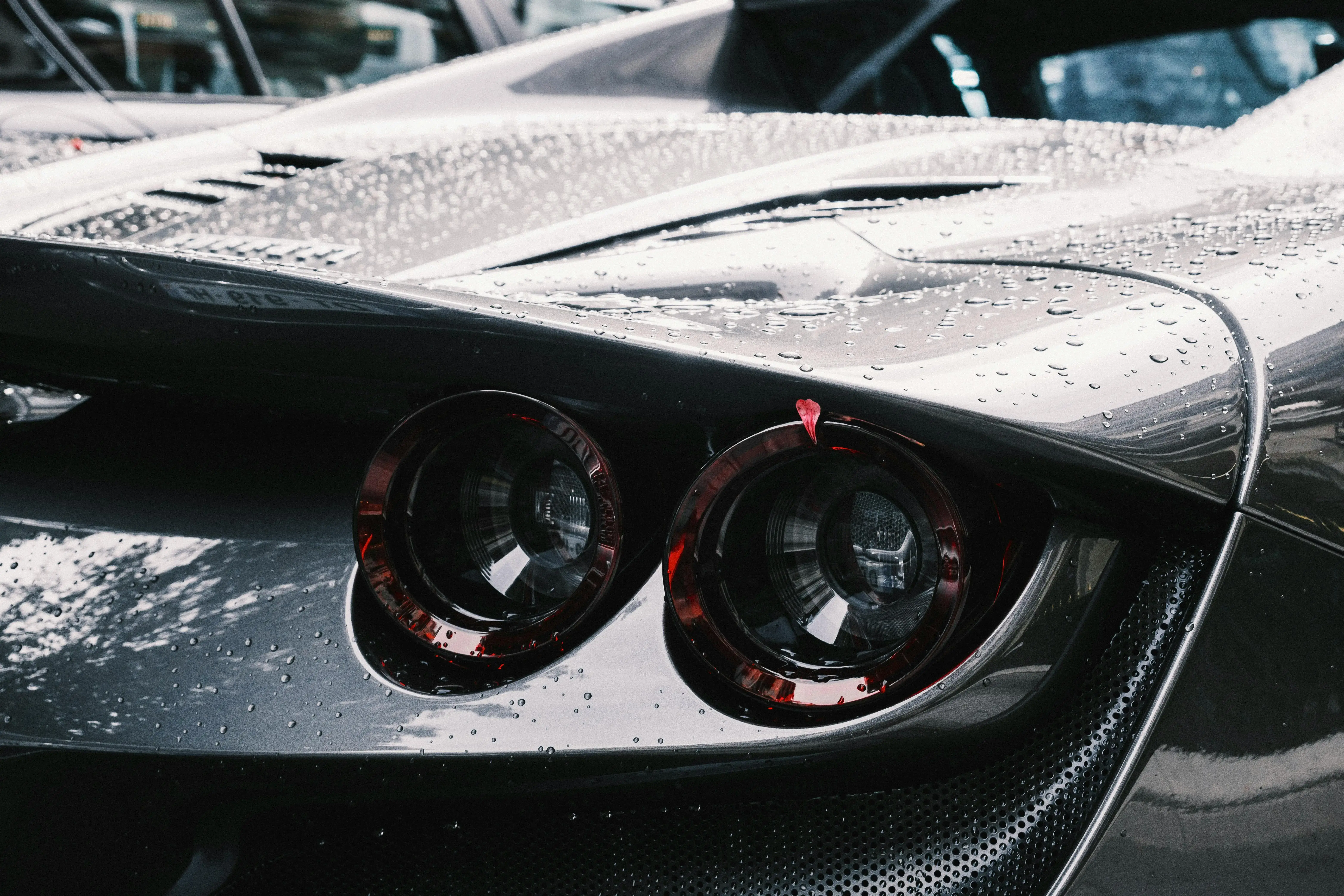 Close-up of Tail Lights