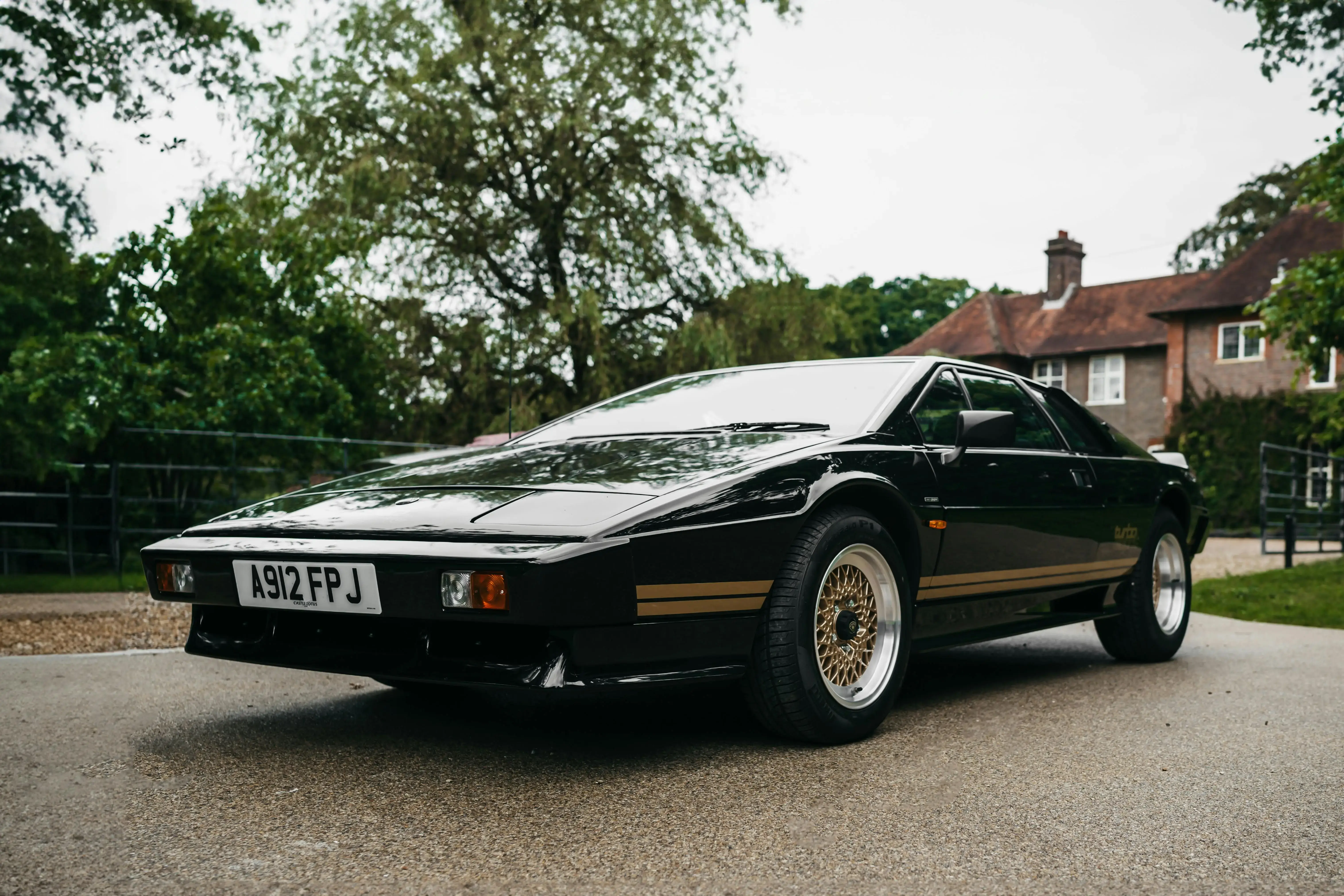 Black Lotus Esprit
