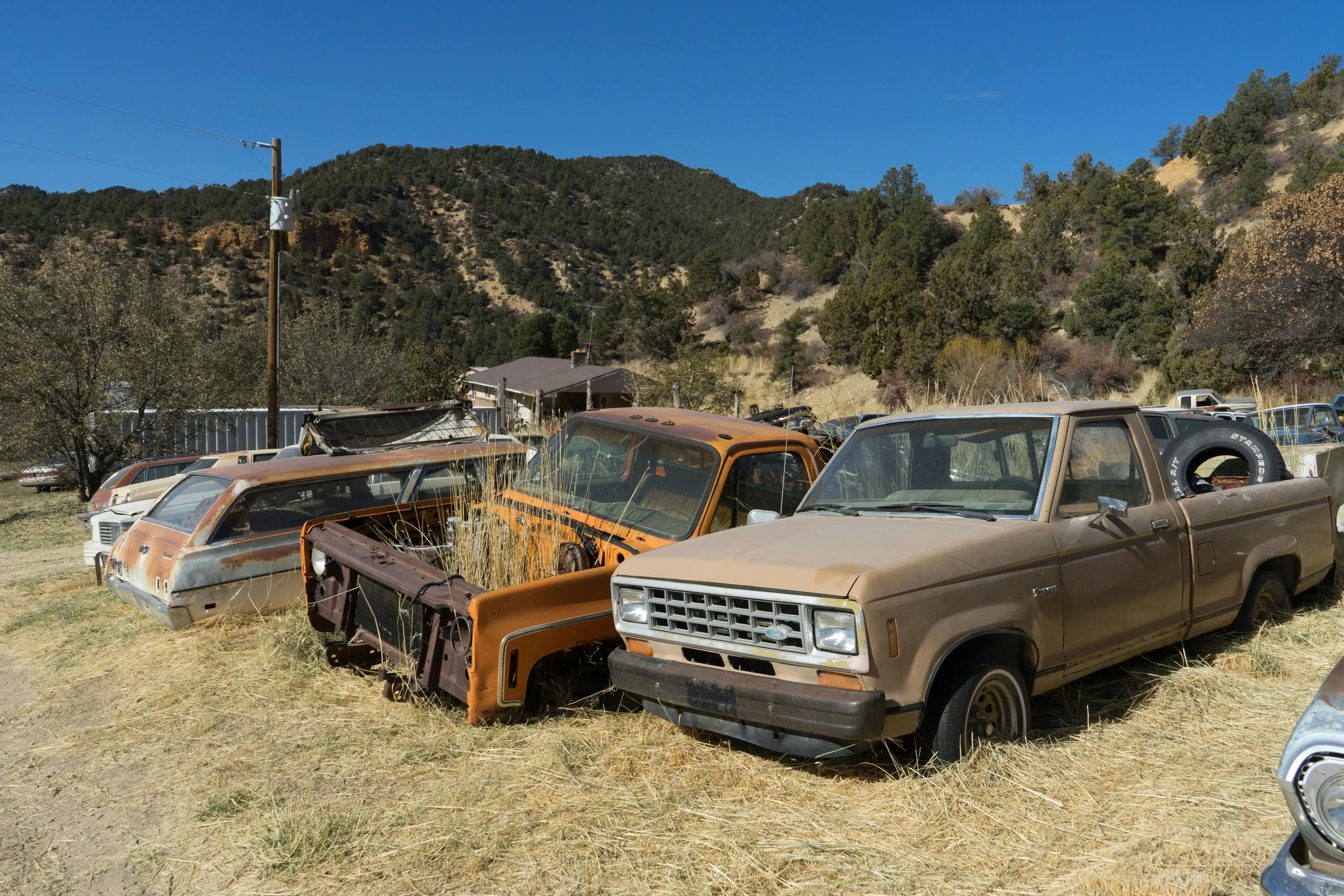 Abandoned Cars Parked Near Trees